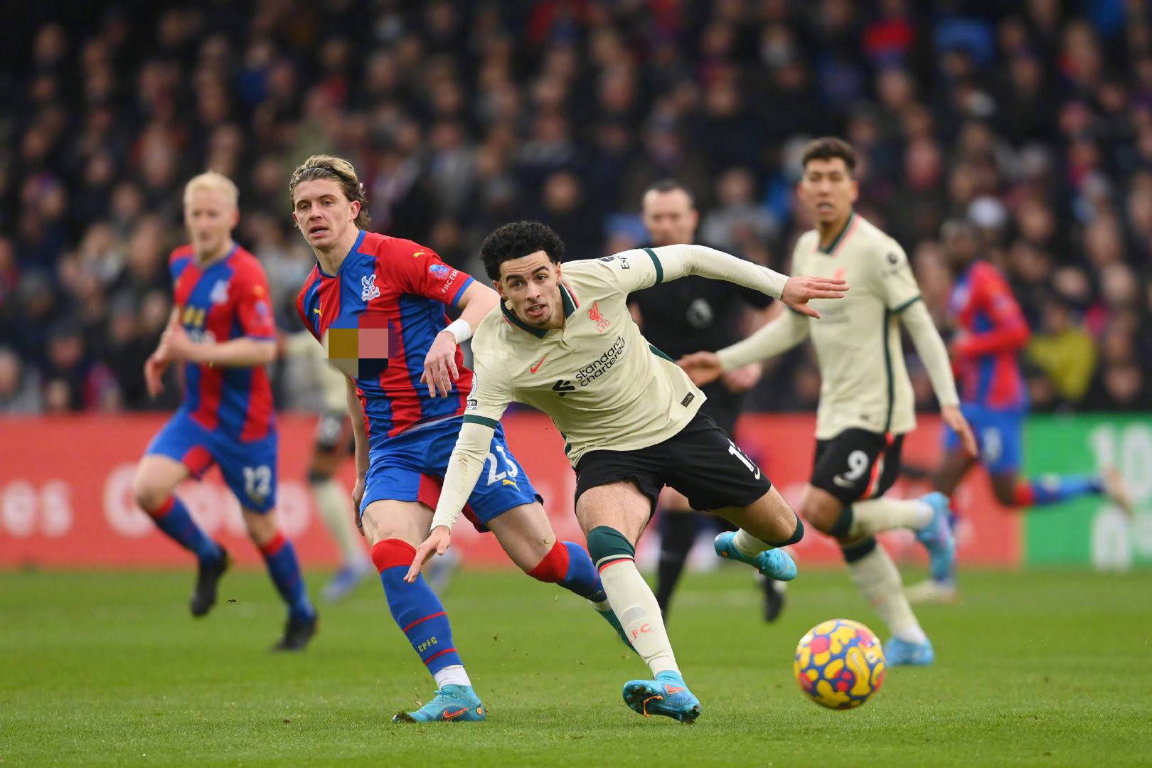 目的亚冬会 目的亚冬会